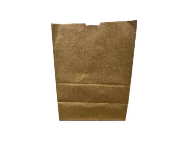 #1/6 Paper Bag