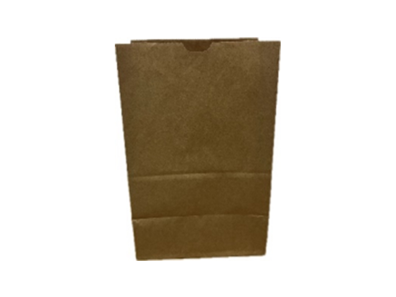 #20 Paper Bag