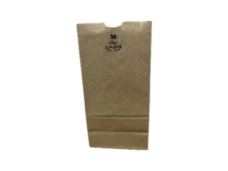 #16 Paper Bag