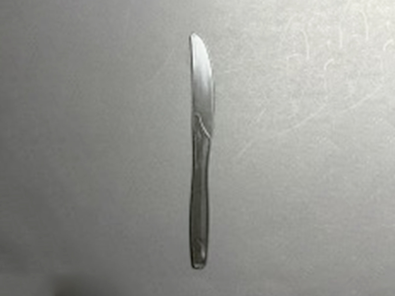 Plastic Disposable Black Knives