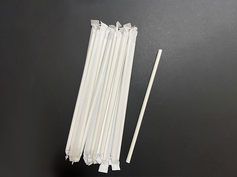 Paper Straw Single Wrap