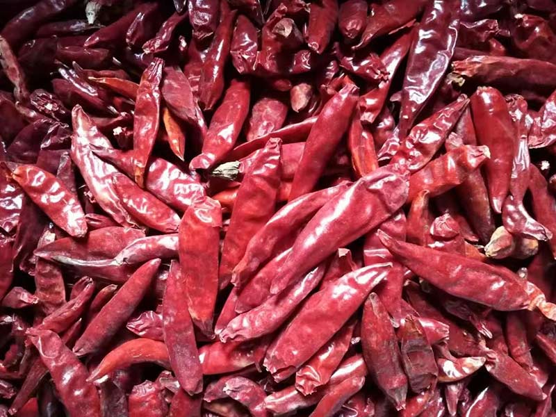 Dried Chilli