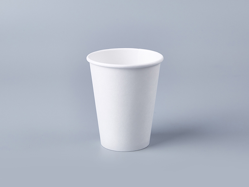 10oz Single Wall Hot Cup