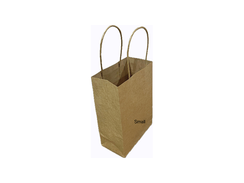 8 Inch Small Twisted Handles Paper Bag