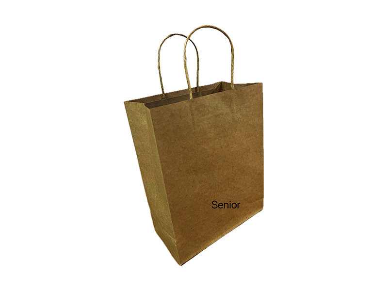 13 Inch Senior Twisted Handles Paper Bag