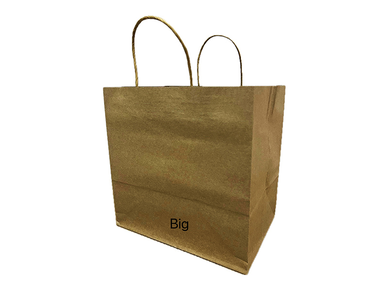 16 Inch Twisted Handles Paper Bag