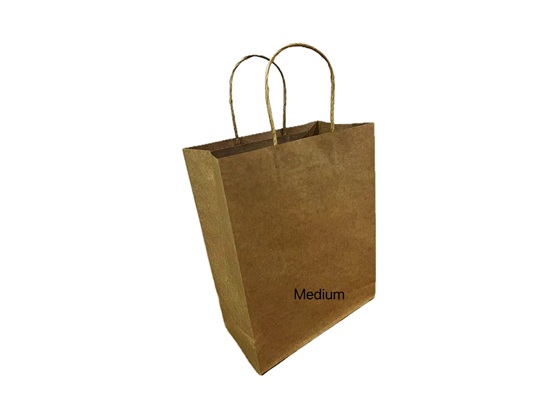 10 Inch MediumTwisted Handles Paper Bag