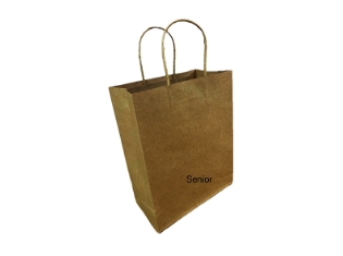 The Dawn of the Age of Eco-Friendly Revolution; the Emergence of Paper Bags in Sustainable Packaging Solutions